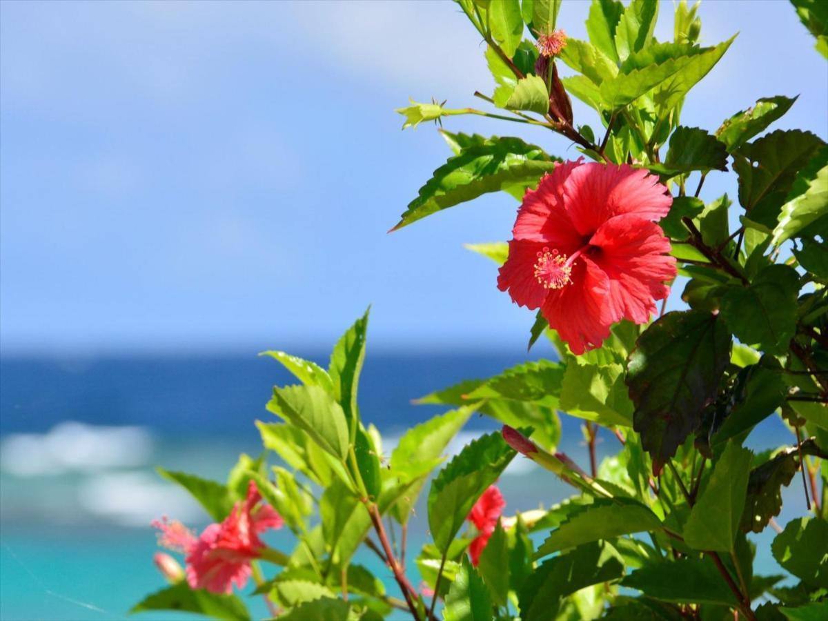 Allamanda Imgya Coral Village Miyakojima  Exterior photo