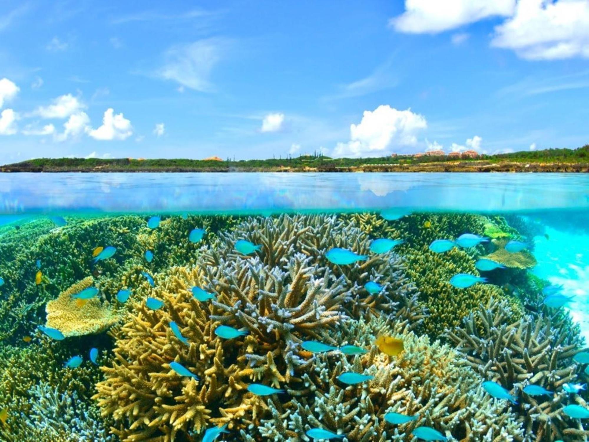 Allamanda Imgya Coral Village Miyakojima  Exterior photo